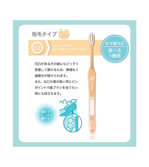 OraBio オーラバイオブラシ レギュラー